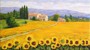 Girasoli 